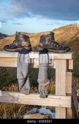 Scarpe da trekking e calzini che si asciugano sulla recinzione, Paparoa Track, (una delle grandi passeggiate della Nuova Zelanda) Parco Nazionale di Paparoa, West Coast, South Island, Nuova Zelanda Foto Stock