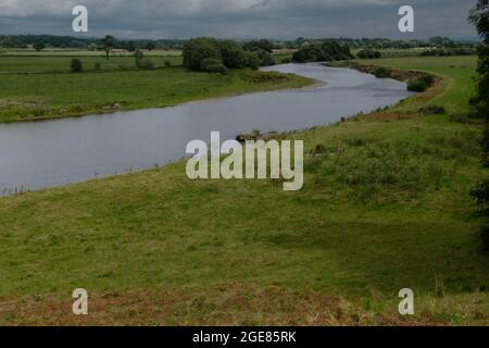 Il fiume Wye vicino Priory Wood, Herefordshire, Inghilterra Foto Stock