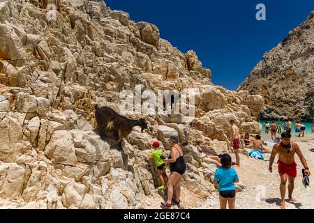 SEITAN Limania, CRETE - LUGLIO 18 2021: Turisti che interagiscono con le capre sulla ripida baia rocciosa e la spiaggia del sitan Limania sull'isola greca di CRET Foto Stock