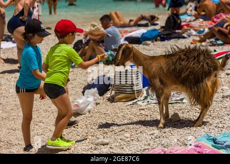 SEITAN Limania, CRETE - LUGLIO 18 2021: Turisti che interagiscono con le capre sulla ripida baia rocciosa e la spiaggia del sitan Limania sull'isola greca di CRET Foto Stock