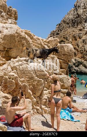 SEITAN Limania, CRETE - LUGLIO 18 2021: Turisti che interagiscono con le capre sulla ripida baia rocciosa e la spiaggia del sitan Limania sull'isola greca di CRET Foto Stock