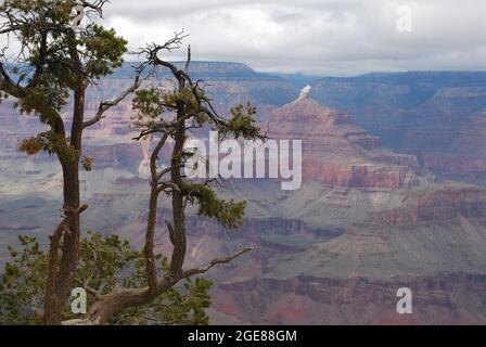 Visioni del Grand Canyon Foto Stock