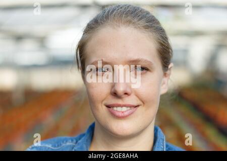 Giovane donna giardiniere in grembiule in piedi vicino a piantine di origano in vasi in serra Foto Stock