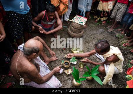 Gli abitanti del villaggio hanno celebrato la dea Manasa (la dea della serpentina indù) Puja. Come parte del rituale, i devoti prima del culto catturano serpenti velenosi (soprattutto cobra) da risaie campi, i denti di serpente sono rimossi da incantatori serpenti e li tengono con i loro cottage e poi adorati come parte dei rituali tradizionali. Questo festival è conosciuto come 'Jhapan'. Il festival Jhapan si celebra ogni anno il 17 agosto in occasione della dea Manasa Puja. Il Jhapan Festival è il più grande festival dei serpenti di Jharkhand e Bengala. Durante la festa di Manasa Puja, i Charmers del serpente si adunano con il serpente velenoso Foto Stock