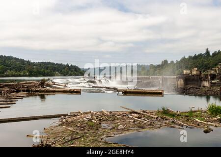 I detriti di legno si schiantano contro le cascate Willamette di Oregon City Foto Stock