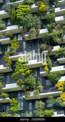 Milano, Italia. Bosco verticale, una vista ravvicinata sui moderni grattacieli ecologici con molti alberi su ogni balcone. Architettura moderna Foto Stock