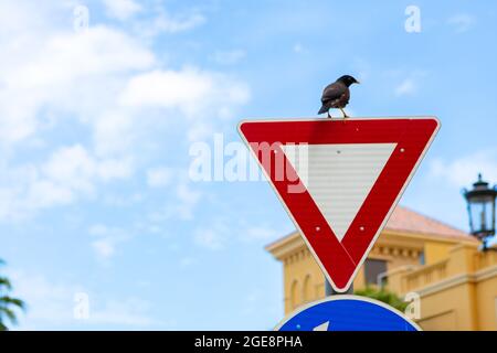 Corvo seduto su dare modo segnale stradale in una strada Foto Stock