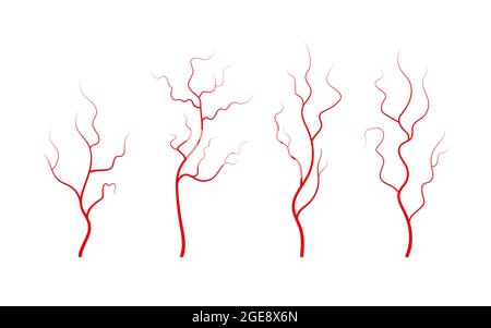 Insieme di vene e arterie umane. Vasi sanguigni e capillari a ramificazione rossa. Illustrazione vettoriale isolata su sfondo bianco Illustrazione Vettoriale