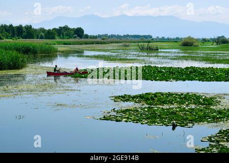 Livadia, Grecia - 21 giugno 2021: Due persone non identificate in canoa sul lago Kerkini, in Macedonia centrale, un luogo preferito per gli uccelli acquatici Foto Stock