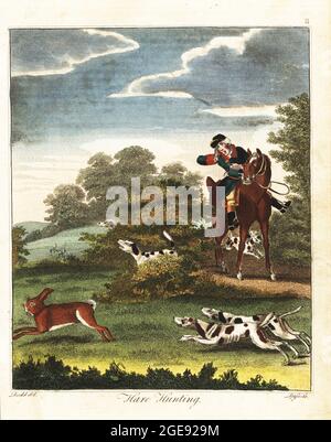 Caccia lepre. Huntsman a cavallo dopo un pacco di aquile che inseguono una lepre. Incisione a mano su copperplate di J. Pass dopo un’illustrazione di Daniel Dodd di William Augustus Osbaldiston The British Sportsman, o nobiluomo, Gentleman and Farmer’s Dictionary of Recreation and Amusement, J. Stead, Londra, 1792. Foto Stock