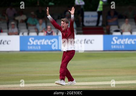 Harrison Craig di Cambridgeshire rivendica il wicket di Paul Walter durante Essex Eagles vs Cambridgeshire CCC, nazionale di un giorno Cricket Match al Clo Foto Stock