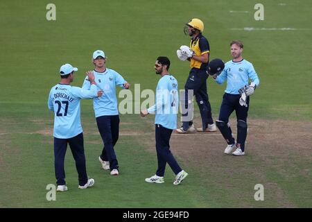 Aron Nijjar dell'Essex festeggia con i suoi compagni di squadra dopo aver preso il wicket di Steven Reingold durante Glamorgan vs Essex Eagles, Royal London un giorno Foto Stock