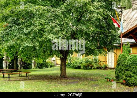 Tomaszow Lubelski, Polonia, immagine HDR Foto Stock