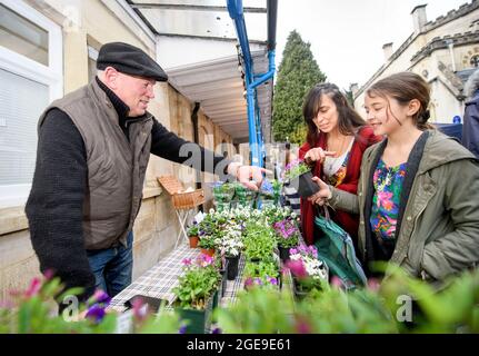 La città di Stroud in Gloucestershire - stalla di piante nelle Shambles durante la giornata di mercato Foto Stock