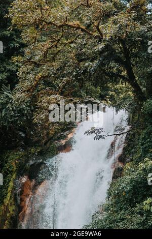 Paesaggio pittoresco di cascata che cade da ripida roccia circondata da lussureggiante vegetazione tropicale nella provincia di Alajuela in Costa Rica Foto Stock