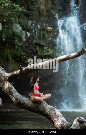 Vista laterale dell'irriconoscibile slim traveller femminile in bikini rosa seduto su un grande vecchio ramo di albero contro la pittoresca cascata che cade da ro Foto Stock