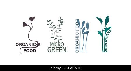Insieme di logotipi vettoriali. Stampa di pianta, semi germinati. Può essere usato per produrre crescione, microgrede, alimenti biologici, semi. Logo, emblema ed etichetta. Illustrazione Vettoriale
