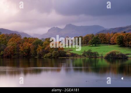 Guardando attraverso Loughrigg Tarn verso le Landales al tramonto. Foto Stock