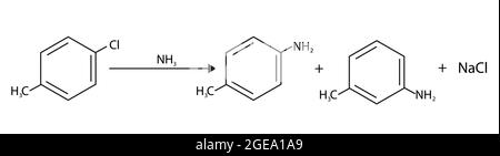 Struttura chimica di sostituzione aromatica nucleofila - eliminazione - aggiunta, aromatica nucleofila, aggiunta di un nucleofilo agli aromatici Illustrazione Vettoriale