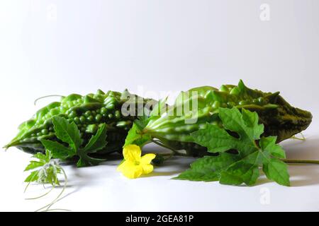 Melone amaro, zucca amaro con foglie su sfondo bianco Foto Stock