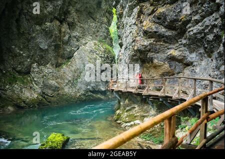 Giovane fotografo femminile in giacca colorata che percorre un sentiero lungo un fiume limpido attraverso la gola di Vintgar in Slovenia Foto Stock