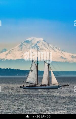 Avventurosa goletta in barca a vela sulla baia di Elliot di Puget Sound vicino a Seattle, con il Monte Rainier che torreggia sullo sfondo, Washington state, USA [editoriale