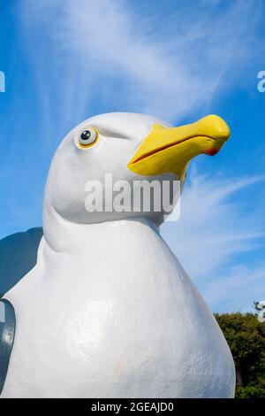 The Mobile Gull Appreciation Unit, 2008, di Mark Dion. All'interno del gabbiano si trovano informazioni sui gabbiani. Commissionato per la Triennale di Folkestone 2008. Foto Stock