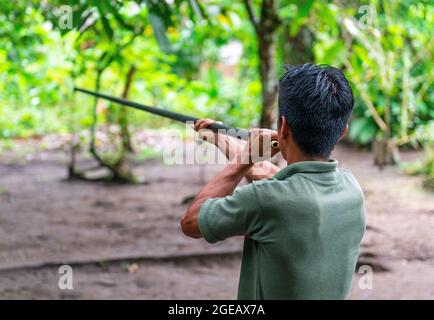 L'uomo indigeno ecuadoriano Kichwa che fa una dimostrazione di pistola, il metodo di caccia tradizionale nella foresta amazzonica, il parco nazionale di Yasuni, Ecuador. Foto Stock