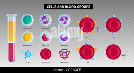 Tipi di sangue gruppi di globuli rossi emoglobina linfociti bianchi icone simboli Imposta provetta trasparente sfondo vettore illustrazione Illustrazione Vettoriale