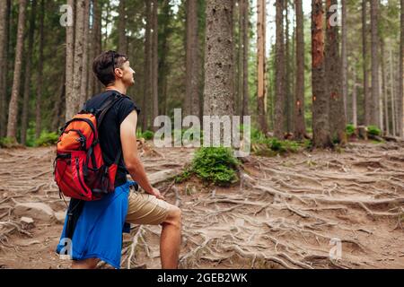 Uomo escursionista camminando attraverso il sentiero della foresta di montagna circondato da radici in Carpazi. Viaggiatore con zaino riposante. Viaggio in estate Ucraina Foto Stock