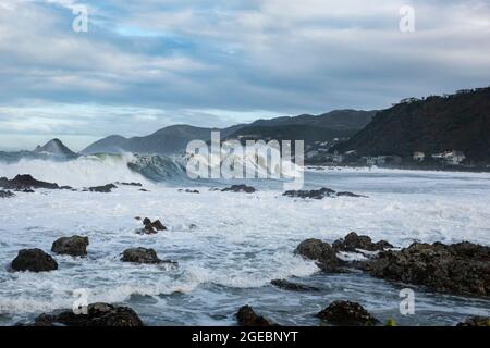 Enormi onde si infrangono in Houghton Bay, Wellington, Nuova Zelanda Foto Stock