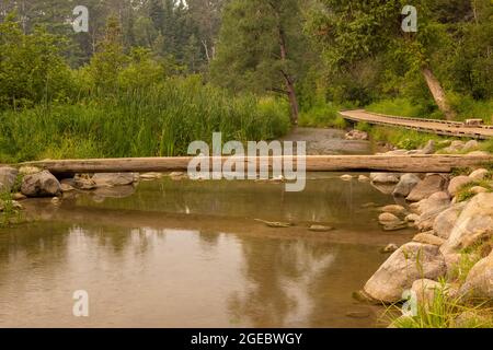 Una passerella di tronchi che attraversa il fiume Mississippi vicino alle sorgenti. Foto Stock