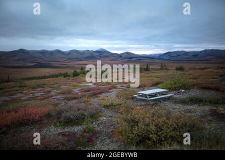 Un tavolo da picnic solato si trova nella tundra autunnale ad una fermata di riposo vicino al Circolo polare Artico lungo la Dempster Highway nel territorio di Yukon, Canada. Foto Stock