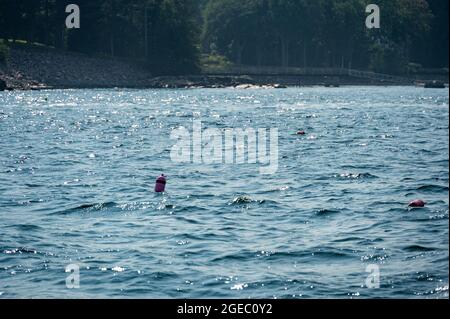 Boa trappola aragosta galleggiando su un oceano agopito nell'Oceano Atlantico Foto Stock