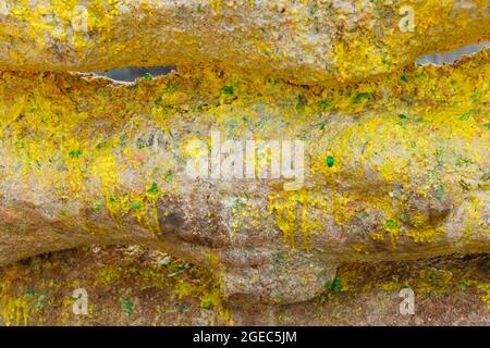 Barriere di legno con spruzzi di vernice Foto Stock