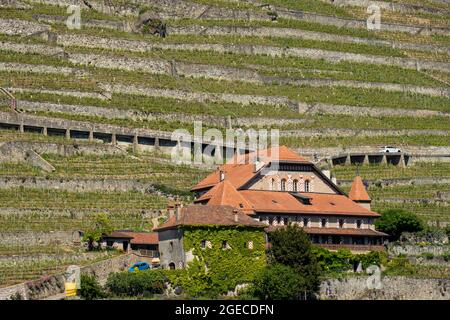 Vigneti e casa a Lavaux sulle rive del lago di Ginevra, Svizzera Foto Stock