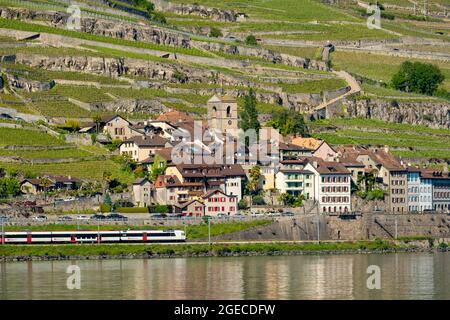 Vigneti e casa a Lavaux sulle rive del lago di Ginevra, Svizzera Foto Stock
