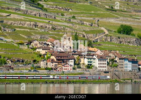 Vigneti e casa a Lavaux sulle rive del lago di Ginevra, Svizzera Foto Stock