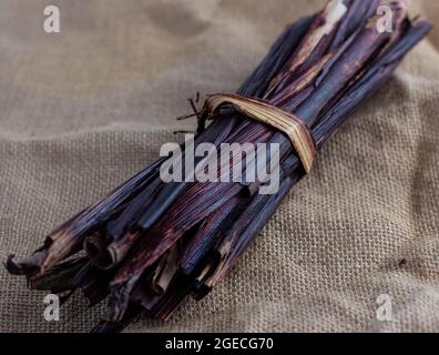 Guaina/gambo bicolore di sorgo, chiamata Waakye e usato come colorazione di cibo in Ghana Foto Stock