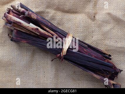 Guaina/gambo bicolore di sorgo, chiamata Waakye e usato come colorazione di cibo in Ghana Foto Stock