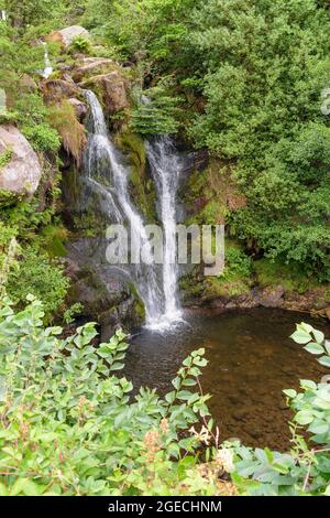 Postforth Gill Lower Waterfall, Bolton Abbey, Yorkshire Dales. Foto Stock