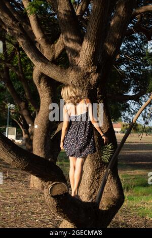 Giovane donna bionda sta proteggendo una donna albero Foto Stock