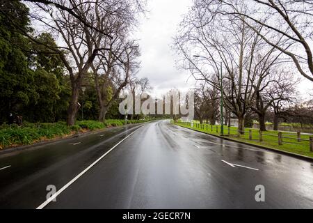 Melbourne, Australia, 14 agosto 2020. Alexandra Ave è priva di traffico durante il COVID-19 a Melbourne, Australia. Victoria ha registrato 14 decessi correlati a COVID, tra cui un 20 anni, che hanno segnato il più giovane a morire di Coronavirus in Australia, e altri 372 nuovi casi durante la notte. (Foto di Dave Hewison/Speed Media) Credit: Dave Hewison/Speed Media/Alamy Live News Foto Stock