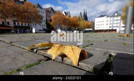 una foglia d'autunno si trova sui ciottoli della città vecchia di colonia Foto Stock