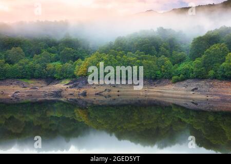 La nebbia che sorge da una Forrest a Glen Finglas, nel Parco Nazionale del Trossachs, Scozia, Regno Unito. Foto Stock