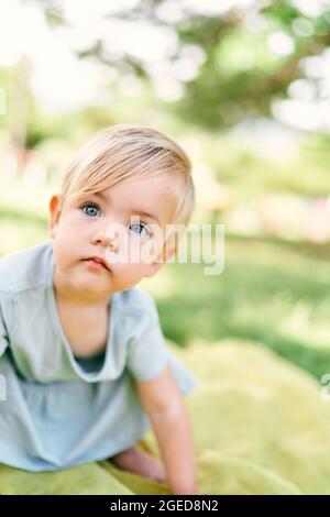 La bambina in un vestito si siede su una coperta sul prato. Verticale Foto Stock