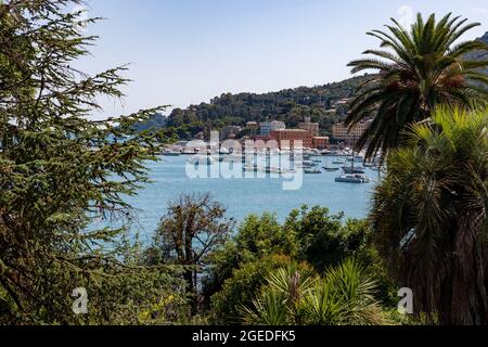 Blick über Palem auf den Hafen und die Häuser Drum herum. Touristen strömen am 19. Agosto 2021 a die wunderschöne Stadt Santa Margherita im Levante Teil Liguriens. Die schöne Natur mit Meer, Hügeln, wo gewandert und geradelt werden kann sich an der schönen & bunten Architektur. Am Hafen von Santa Margherita legen viele Boote und Yachten An. * Vista dalle palme sul porto e le case intorno. Il 19 agosto 2021 i turisti visitano la bellissima Santa Marghrita nella parte Levante della Ligury, Italia settentrionale. La gente ama Santa Margherita come Ligury AT Foto Stock