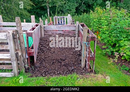 Cumulo di letame di cavallo in legno di bidone di compost pallet in un giardino organico per fertilizzante in estate Carmarthenshire Galles UK KATHY DEWITT Foto Stock