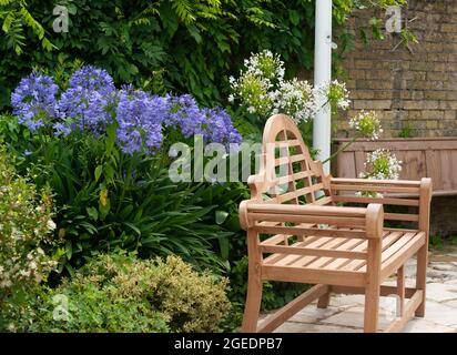 Giardino costiero o balneare con agapanthus in fiore sul lungomare di Cowes, Isola di Wight, Inghilterra, Regno Unito Foto Stock