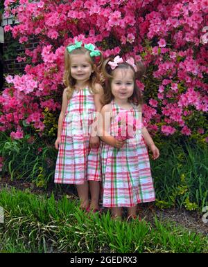 Due sorelle, vestite in modo identico, si erigono fuori dai cespugli di Azalea. Il bambino ha scelto un piccolo bouquet. Entrambi hanno pigtail e sundresses. Foto Stock